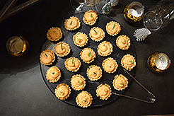 HOLIDAYS WITH KWANCHAI